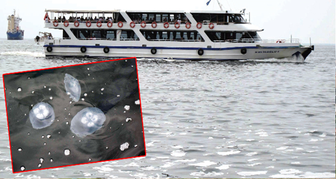 İZMİR KÖRFEZİ'Nİ DENİZ ANALARI BASTI