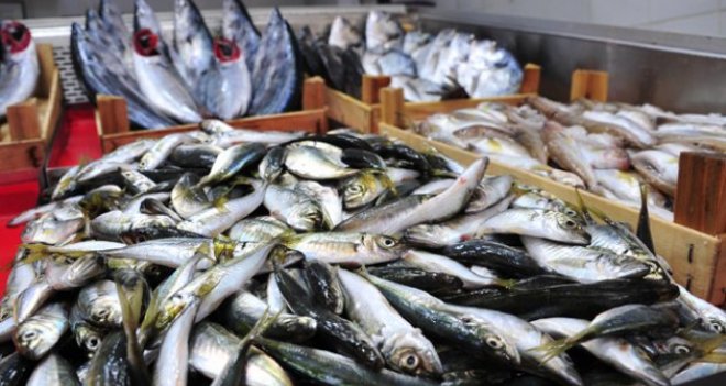 İzmir'de en çok balık ucuzladı...