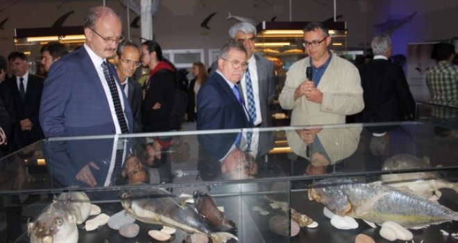 İzmir'de ilk ve tek: Deniz Canlıları Merkezi