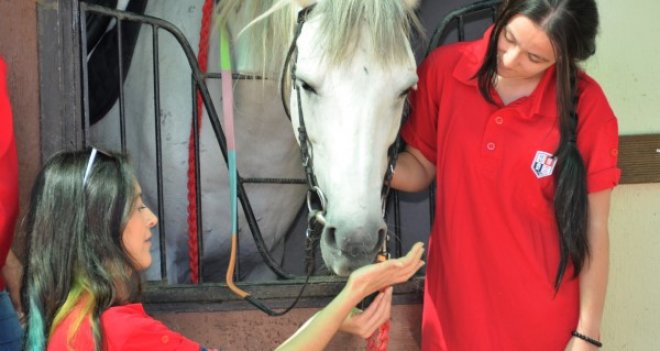 İzmir’de kadın seyis adayları ders başı yaptı