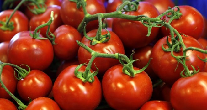 İzmir'de zam şampiyonu domates