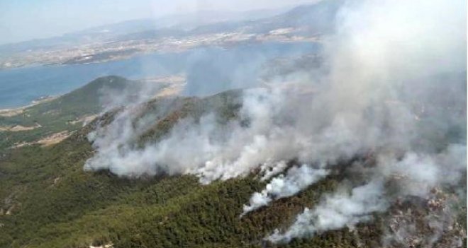 İzmir'deki orman yangını devam ediyor