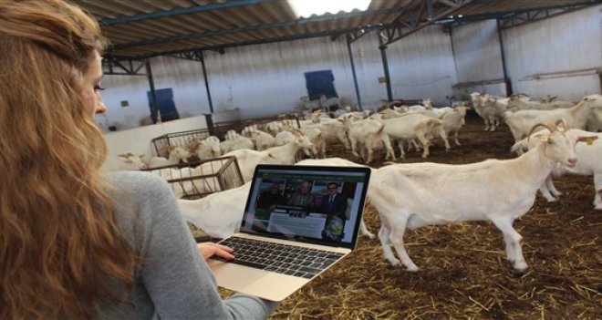 İzmirli çobanların projesi mecliste görücüye çıkıyor