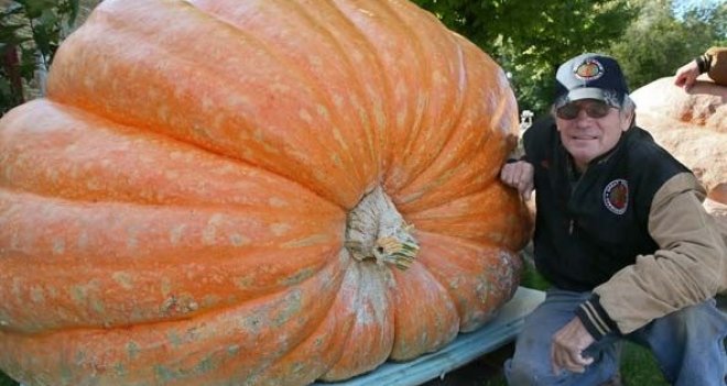 Kabağı görenler gözlerine inanamadı