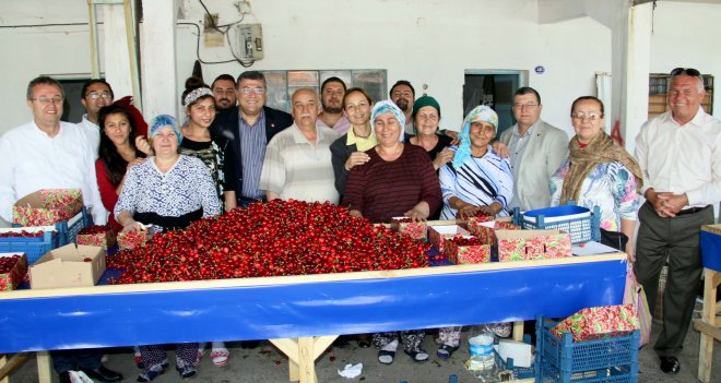 Kamil Okyay Sındır; “Kiraz üreticisi perişan”​