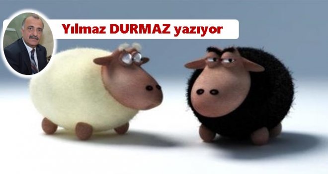 Kanı dışarı, eti içeri olmasın