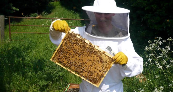 Karşıyaka Belediyesi’nden arıcılara destek