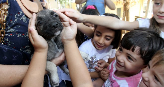Karşıyaka, can dostlara sahip çıktı