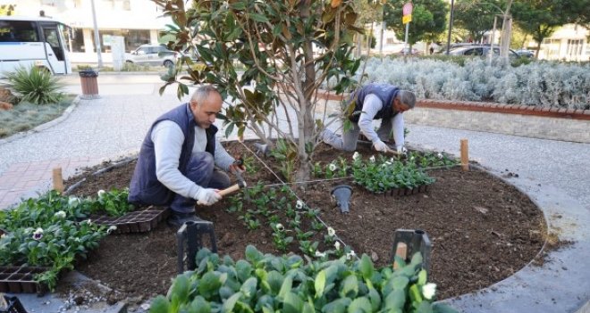 Karşıyaka çiçek açıyor