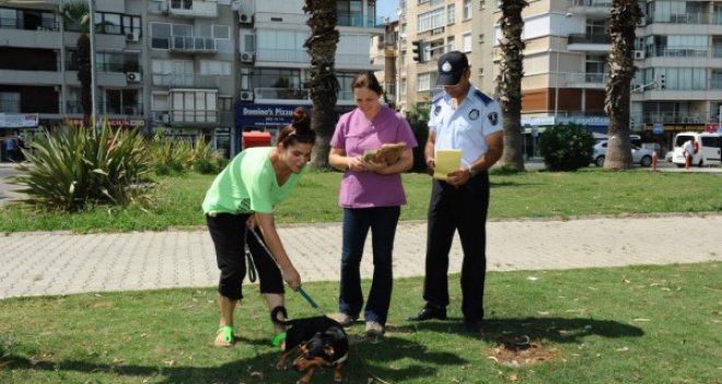 Karşıyaka'da can dostlara veteriner zabıtası