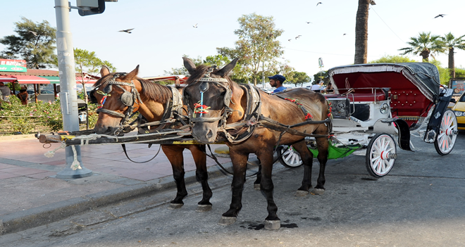KARŞIYAKA'DA FAYTONLARA KALICI ÇÖZÜM
