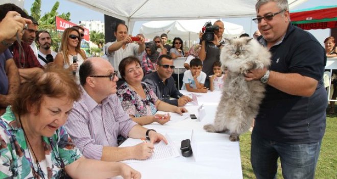 Karşıyaka'da hayvanseverler PatiFest’te buluşacak