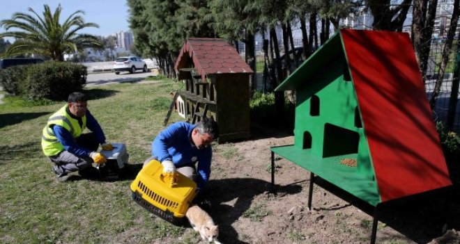 Karşıyaka'da kedi evleri çoğalıyor...