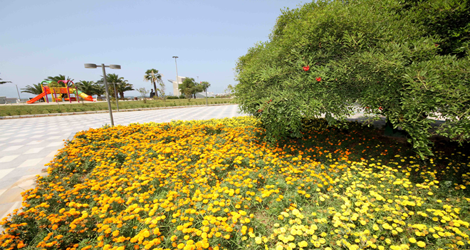 Karşıyaka'da sokaklar çiçek açtı...