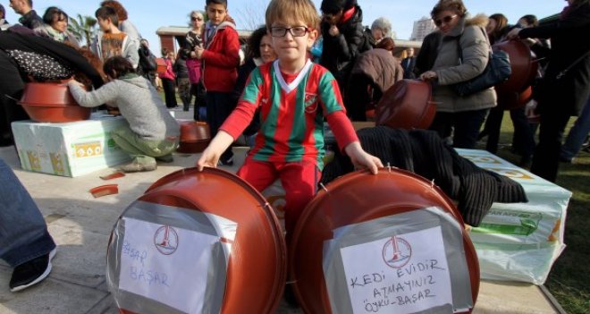 Karşıyaka'daki kedilere sıcak yuva