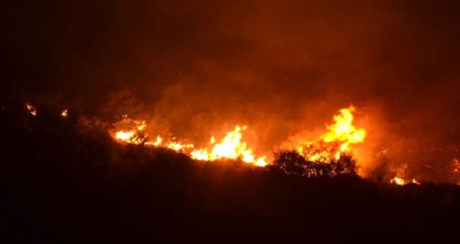 Karşıyaka'daki orman yangını söndürüldü...