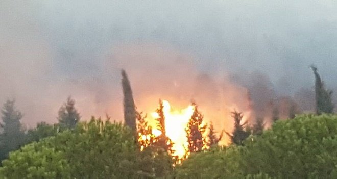 Karşıyaka'daki orman yangını söndürüldü...