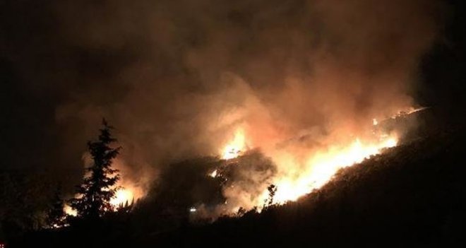 Karşıyaka'daki yangında 15 dekarlık alan zarar gördü