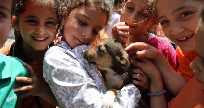 Karşıyakalılar can dostlara sahip çıktı 