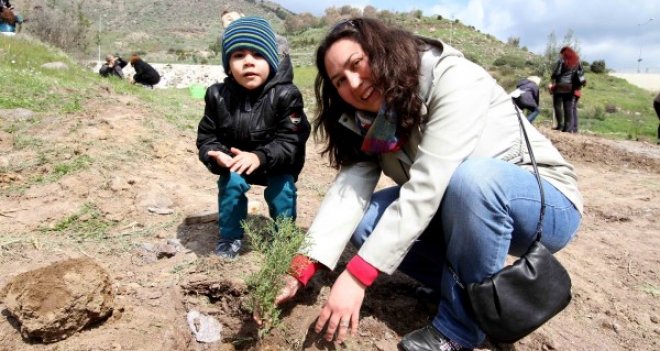 Karşıyaka'ya 500 zeytin fidanı dikilecek