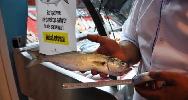 Lüfer koruma kampanyasına Aliağa'dan destek