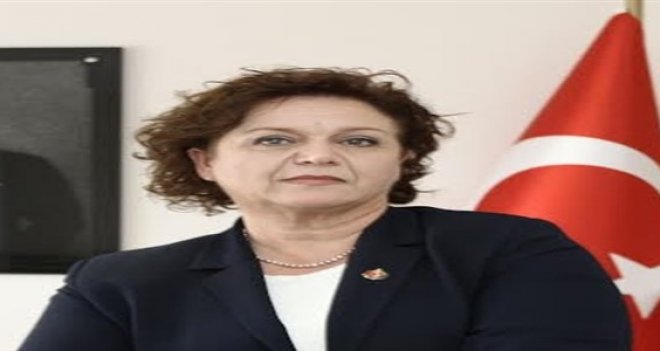 Misket Dikmen'den gözaltılara tepki