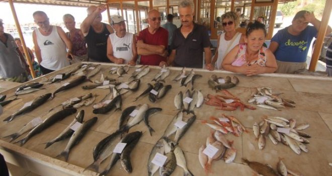 Özdere'de balıklar açık arttırma ile satılıyor