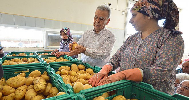 Patates üreticisine bir destek de Büyükşehir'den