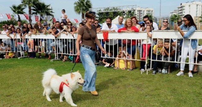 Pati Festivali için geri sayım başladı