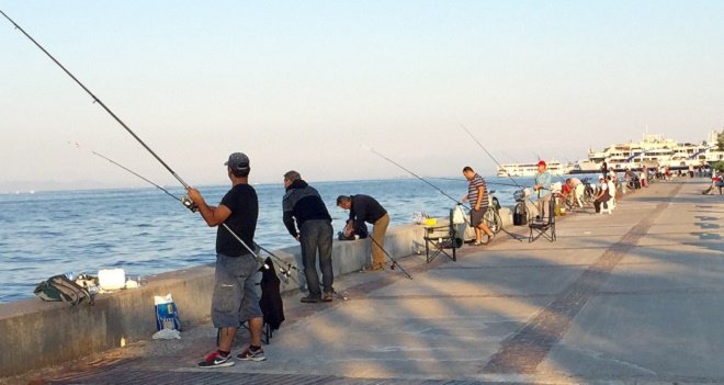 Körfezde çipura bolluğu...