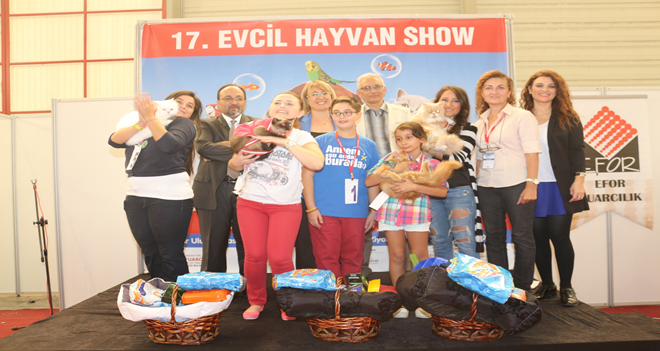 Pet Show'un en güzeli ''Şiva'' 