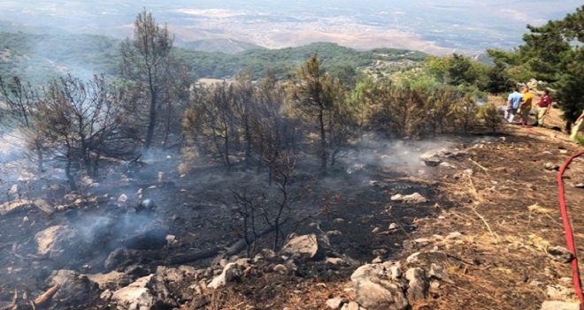 Piknik yaparken ormanı yaktılar...