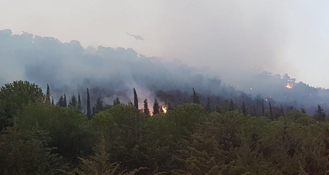 Karşıyaka'da Orman Yangını...