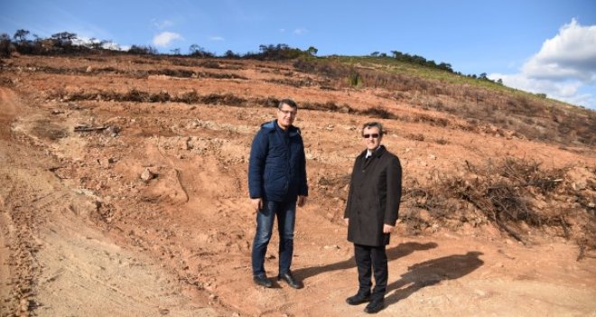 Sancaklı ve Yamanlar yeniden ağaçlandırılıyor