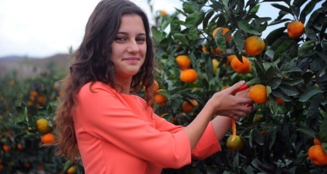 Seferihisar'da mandalina şenliği