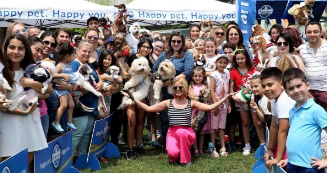 Sokak hayvanları yararına Pati Festivali