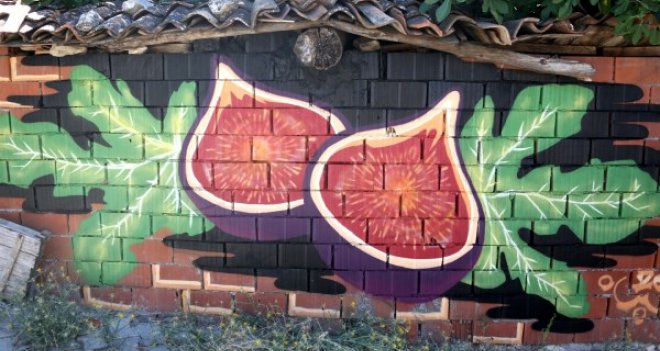 Sokak Sanatı-Graffiti Bornova duvarlarında