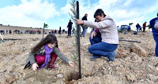 Taş ocağıydı, orman olacak
