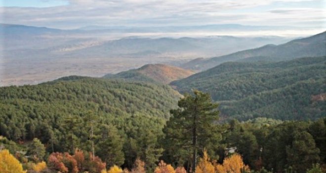 TATİLCİLERE ORMAN BROŞÜRÜ