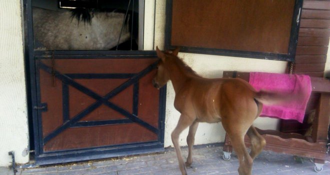 Tay Park ailesi büyüyor