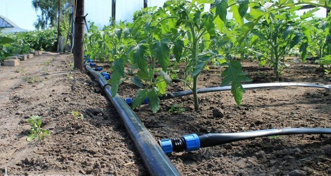 Toprağa su, çiftçiye nefes