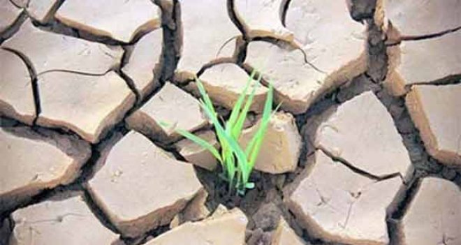 Türkiye çölleşiyor