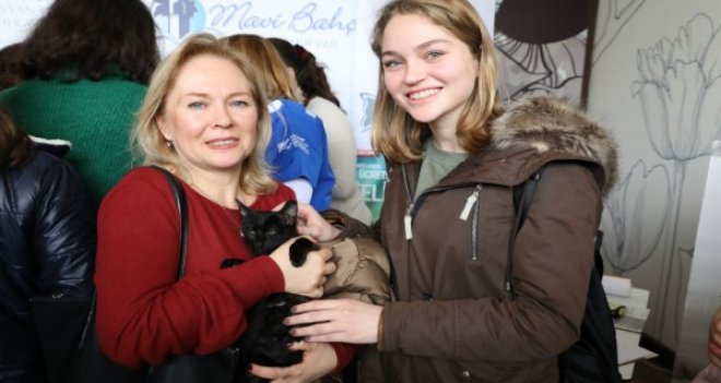 Yavru kediler yeni yuvalarına kavuştu