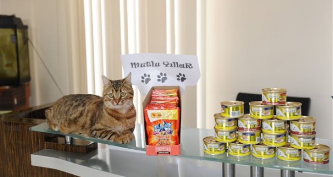 Yeni yıla sahipsiz dostlar da mutlu girecek