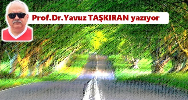 Yoldan kısa hikayeler (1) 