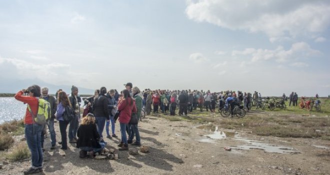 Yüzlerce İzmirli flamingoların dansını izledi