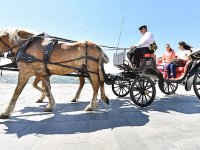  Alo Fayton hattı...