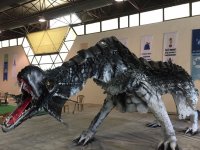  Atık malzemeden ejderha yaptılar