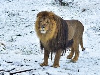  Doğal Yaşam’da''sıra dışı'' bir gün 