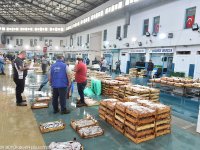  Sebze ve balık haline paket arıtma geliyor